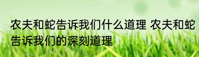 农夫和蛇告诉我们什么道理 农夫和蛇告诉我们的深刻道理