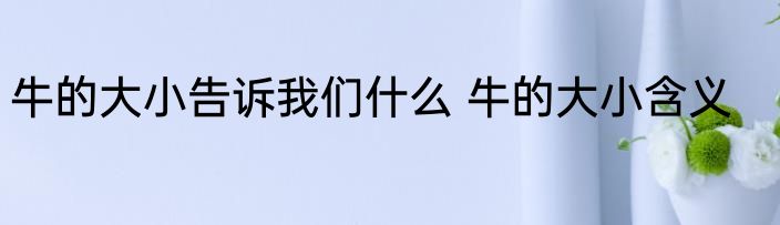 牛的大小告诉我们什么 牛的大小含义