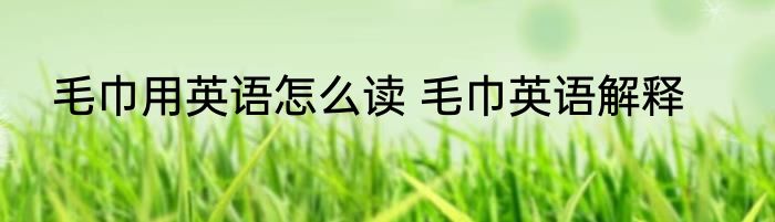 毛巾用英语怎么读 毛巾英语解释