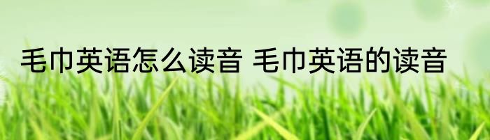 毛巾英语怎么读音 毛巾英语的读音