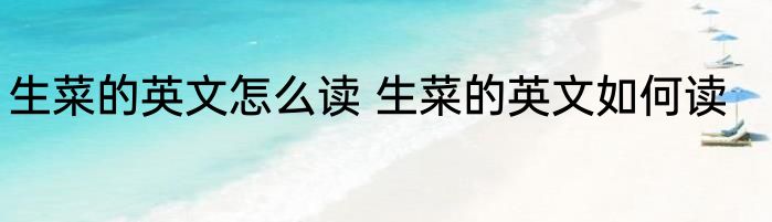 生菜的英文怎么读 生菜的英文如何读