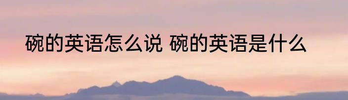 碗的英语怎么说 碗的英语是什么