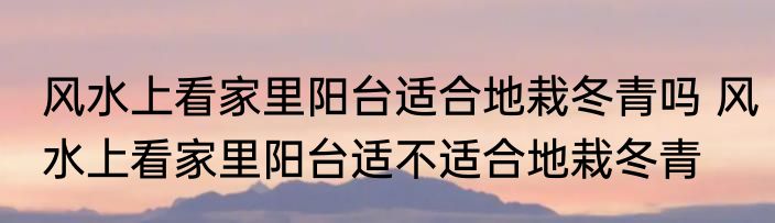 风水上看家里阳台适合地栽冬青吗 风水上看家里阳台适不适合地栽冬青