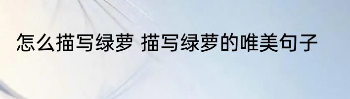 怎么描写绿萝 描写绿萝的唯美句子