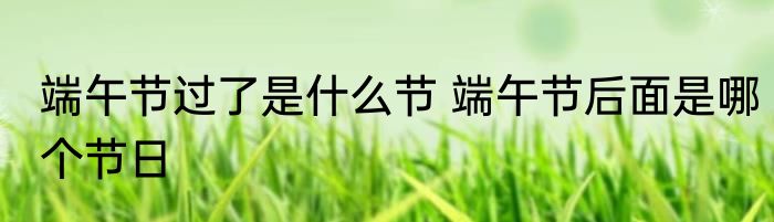 端午节过了是什么节 端午节后面是哪个节日