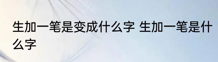 生加一笔是变成什么字 生加一笔是什么字