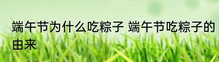 端午节为什么吃粽子 端午节吃粽子的由来