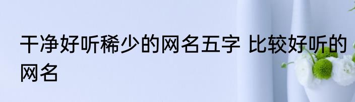 干净好听稀少的网名五字 比较好听的网名