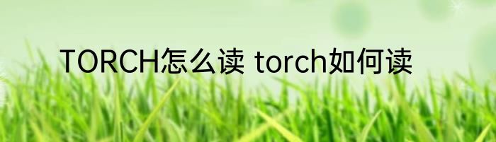 TORCH怎么读 torch如何读
