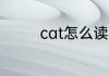 cat怎么读英语 cat怎么读