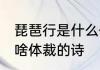 琵琶行是什么体裁的诗 琵琶行到底是啥体裁的诗