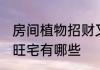 房间植物招财又旺宅 房间植物招财又旺宅有哪些