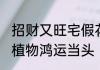 招财又旺宅假花 给你带来好运的仿真植物鸿运当头