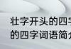 壮字开头的四字词语有哪些 壮字开头的四字词语简介