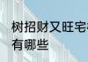 树招财又旺宅树木 树招财又旺宅树木有哪些