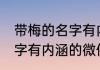 带梅的名字有内涵的微信名 带梅的名字有内涵的微信名推荐