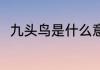 九头鸟是什么意思 九头鸟详细解释