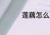 莲藕怎么写 莲藕如何写