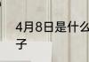 4月8日是什么节日 4月8日是什么日子