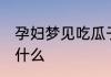 孕妇梦见吃瓜子 孕妇梦见吃瓜子预示什么