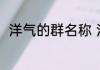 洋气的群名称 洋气的群名称有哪些