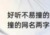 好听不易撞的网名两字霸气 好听不易撞的网名两字霸气有哪些