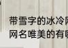 带雪字的冰冷网名唯美 带雪字的冰冷网名唯美的有哪些