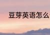 豆芽英语怎么说 豆芽英语怎样读