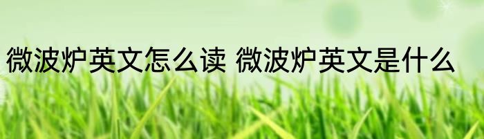 微波炉英文怎么读 微波炉英文是什么