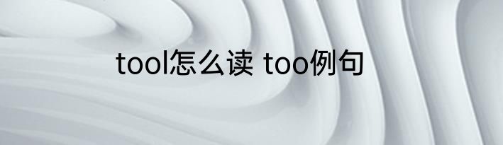 tool怎么读 too例句