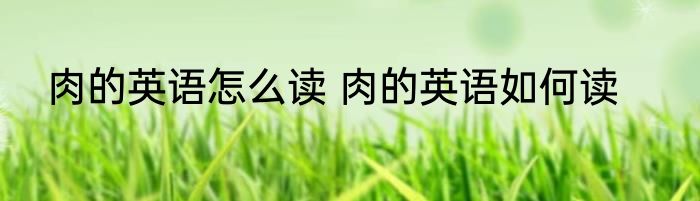 肉的英语怎么读 肉的英语如何读