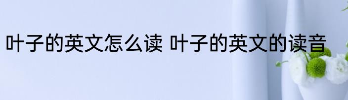 叶子的英文怎么读 叶子的英文的读音