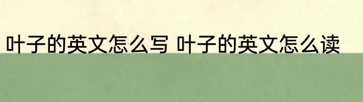 叶子的英文怎么写 叶子的英文怎么读