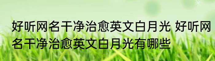 好听网名干净治愈英文白月光 好听网名干净治愈英文白月光有哪些