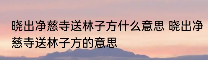 晓出净慈寺送林子方什么意思 晓出净慈寺送林子方的意思