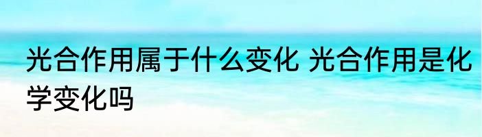 光合作用属于什么变化 光合作用是化学变化吗