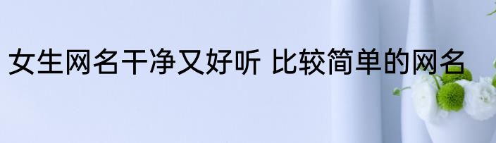 女生网名干净又好听 比较简单的网名