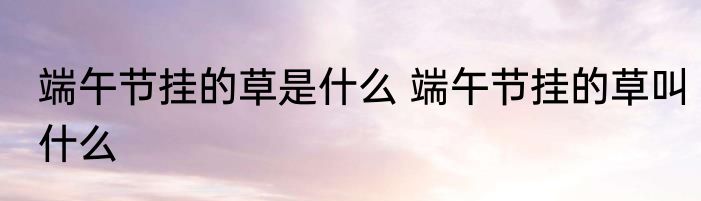 端午节挂的草是什么 端午节挂的草叫什么