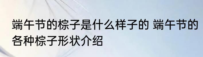 端午节的棕子是什么样子的 端午节的各种棕子形状介绍