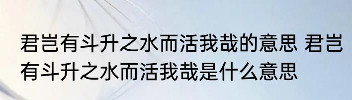 君岂有斗升之水而活我哉的意思 君岂有斗升之水而活我哉是什么意思