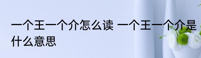 一个王一个介怎么读 一个王一个介是什么意思
