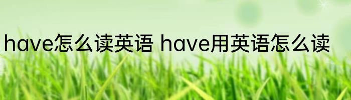 have怎么读英语 have用英语怎么读