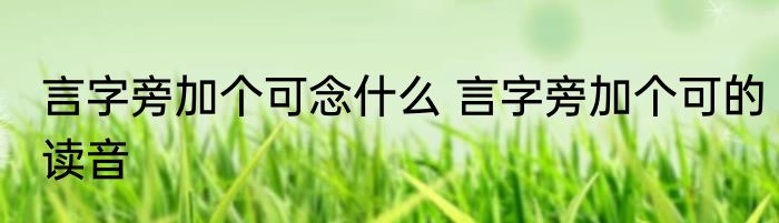言字旁加个可念什么 言字旁加个可的读音