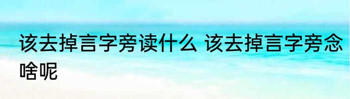 该去掉言字旁读什么 该去掉言字旁念啥呢