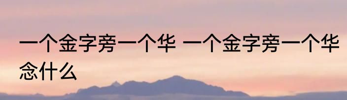 一个金字旁一个华 一个金字旁一个华念什么