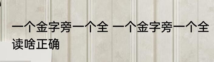 一个金字旁一个全 一个金字旁一个全读啥正确
