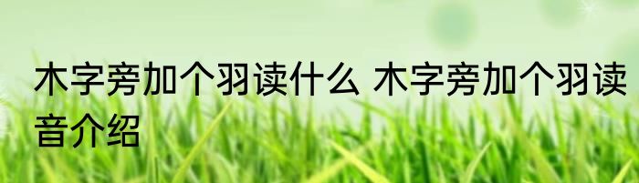 木字旁加个羽读什么 木字旁加个羽读音介绍