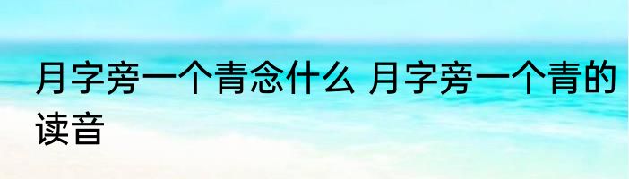 月字旁一个青念什么 月字旁一个青的读音