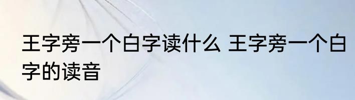 王字旁一个白字读什么 王字旁一个白字的读音