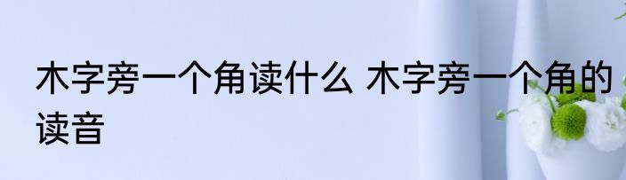 木字旁一个角读什么 木字旁一个角的读音